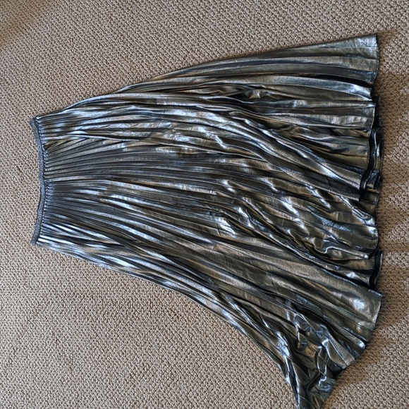 Eliza J Dresses & Skirts - ELIZA J Pleated Lame Maxi Skirt In Metallic Silver